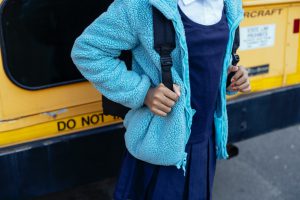 pexels-mary-taylor-5896485